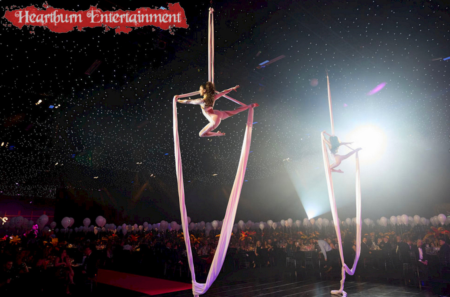 aerial silk performer